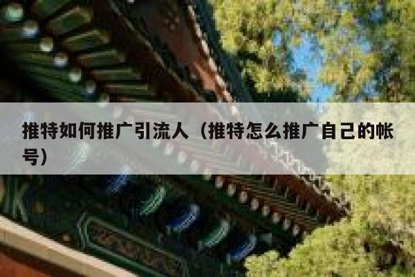 推特如何推广引流人（推特怎么推广自己的帐号） 第1张