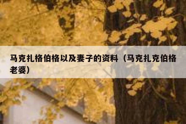 马克扎格伯格以及妻子的资料(马克扎克伯格老婆) 第1张 马克扎格伯格以及妻子的资料(马克扎克伯格老婆) 第1张