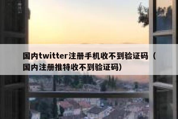 国内twitter注册手机收不到验证码（国内注册推特收不到验证码） 第1张