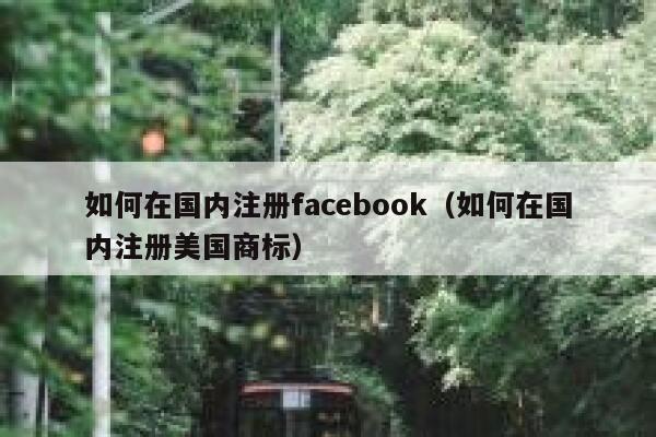 如何在国内注册facebook（如何在国内注册美国商标） 第1张