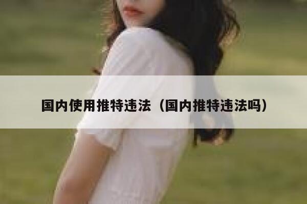 国内使用推特违法（国内推特违法吗） 第1张