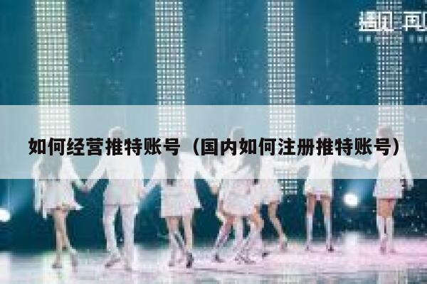 如何经营推特账号（国内如何注册推特账号） 第1张