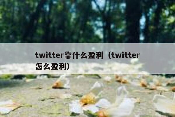 twitter靠什么盈利（twitter怎么盈利） 第1张