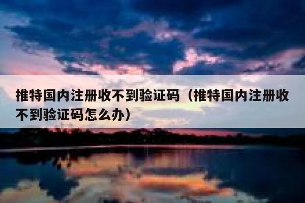推特国内注册收不到验证码（推特国内注册收不到验证码怎么办） 第1张