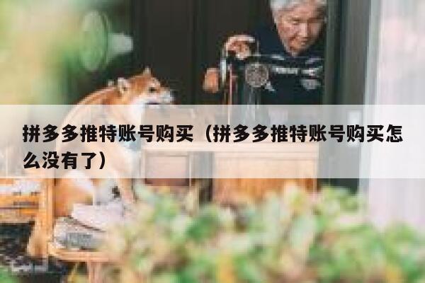 拼多多推特账号购买(拼多多推特账号购买怎么没有了) 第1张 拼多多推特账号购买(拼多多推特账号购买怎么没有了) 第1张