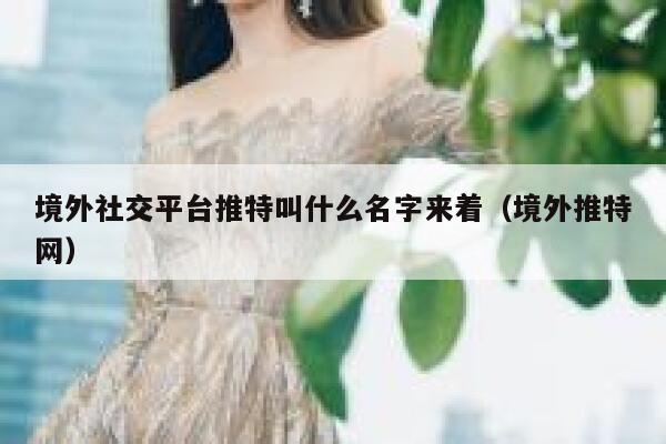 境外社交平台推特叫什么名字来着（境外推特网） 第1张