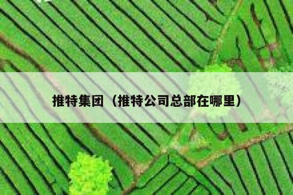 推特集团（推特公司总部在哪里） 第1张