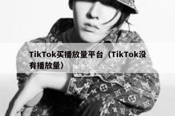 TikTok买播放量平台（TikTok没有播放量） 第1张