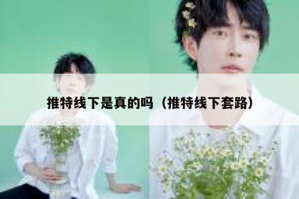 推特线下是真的吗（推特线下套路） 第1张