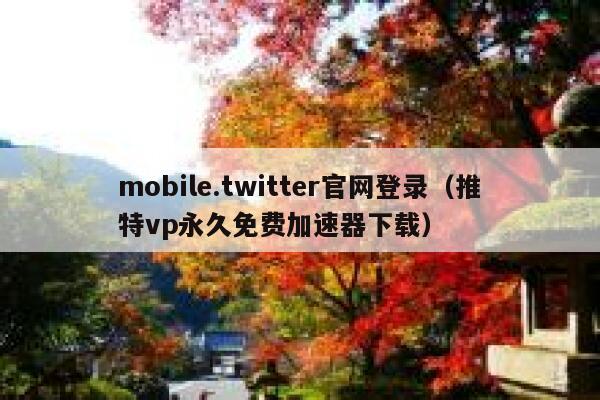mobile.twitter官网登录(推特vp永久免费加速器下载) 第1张 mobile.twitter官网登录(推特vp永久免费加速器下载) 第1张