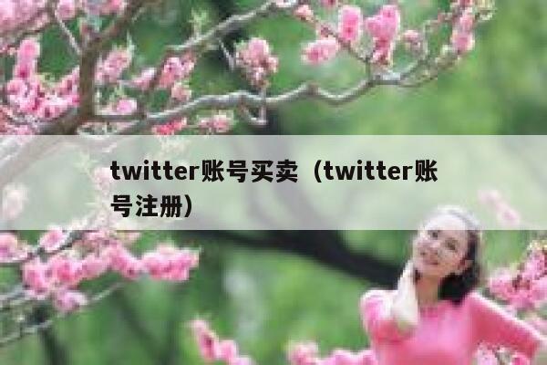 twitter账号买卖（twitter账号注册） 第1张