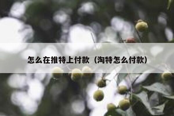 怎么在推特上付款（淘特怎么付款） 第1张