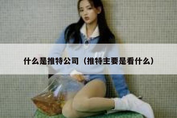 什么是推特公司（推特主要是看什么） 第1张