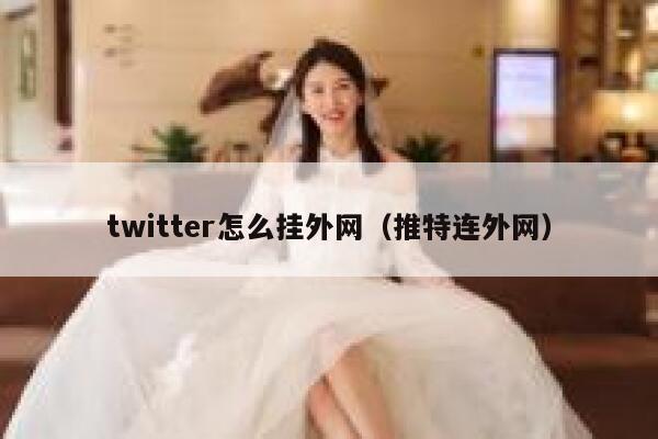 twitter怎么挂外网（推特连外网） 第1张