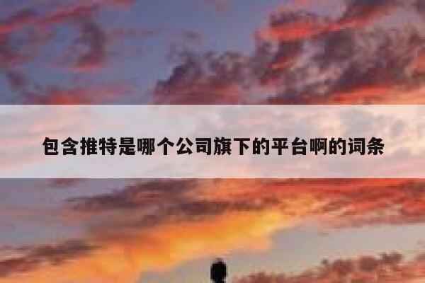 包含推特是哪个公司旗下的平台啊的词条 第1张
