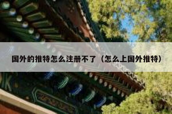 国外的推特怎么注册不了（怎么上国外推特） 第1张