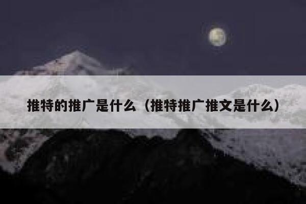 推特的推广是什么（推特推广推文是什么） 第1张