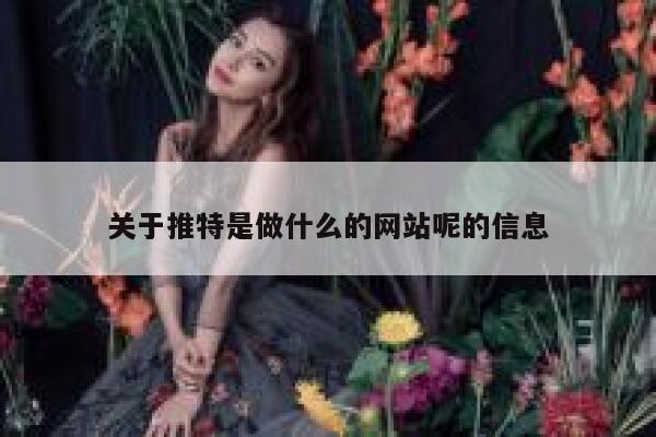 关于推特是做什么的网站呢的信息 第1张