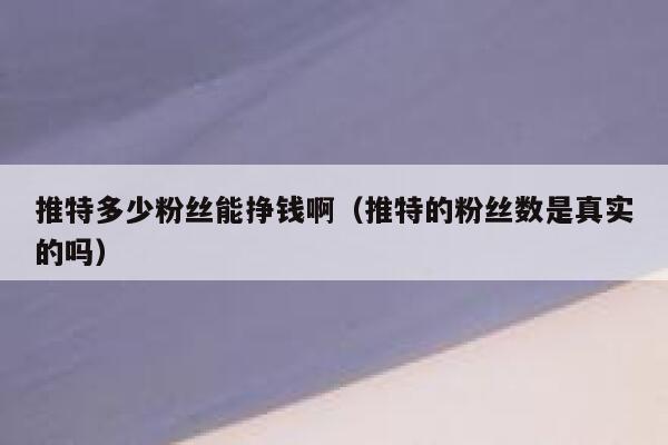 推特多少粉丝能挣钱啊（推特的粉丝数是真实的吗） 第1张