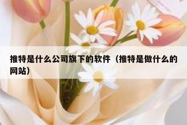 推特是什么公司旗下的软件（推特是做什么的网站） 第1张