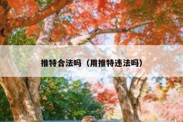 推特合法吗(用推特违法吗) 第1张 推特合法吗(用推特违法吗) 第1张