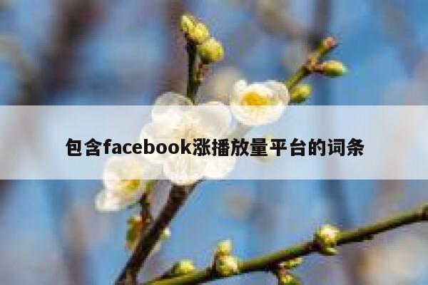 包含facebook涨播放量平台的词条 第1张 包含facebook涨播放量平台的词条 第1张