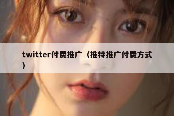 twitter付费推广（推特推广付费方式） 第1张