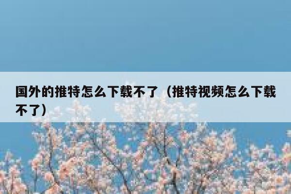国外的推特怎么下载不了（推特视频怎么下载不了） 第1张