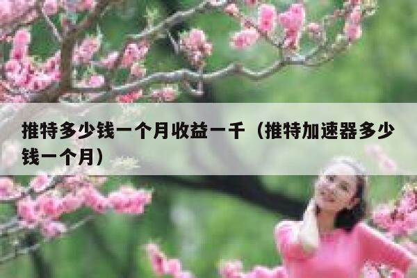 推特多少钱一个月收益一千（推特加速器多少钱一个月） 第1张