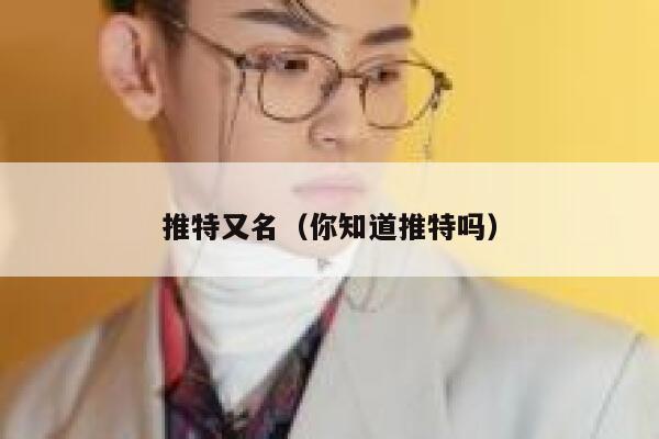 推特又名（你知道推特吗） 第1张