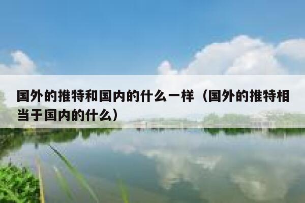 国外的推特和国内的什么一样（国外的推特相当于国内的什么） 第1张