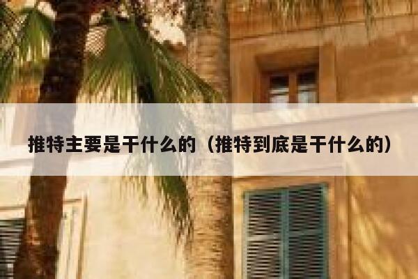 推特主要是干什么的（推特到底是干什么的） 第1张