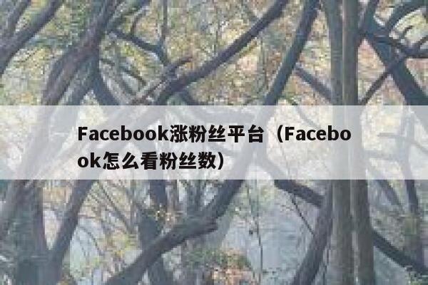 Facebook涨粉丝平台（Facebook怎么看粉丝数） 第1张