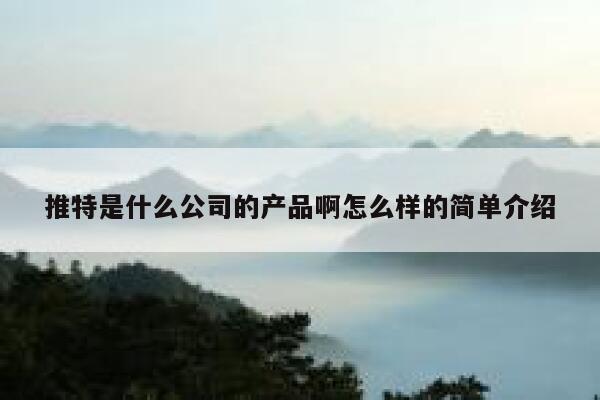 推特是什么公司的产品啊怎么样的简单介绍 第1张