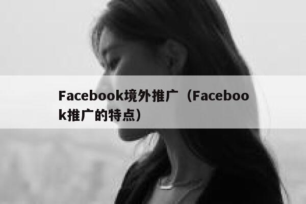 Facebook境外推广（Facebook推广的特点） 第1张