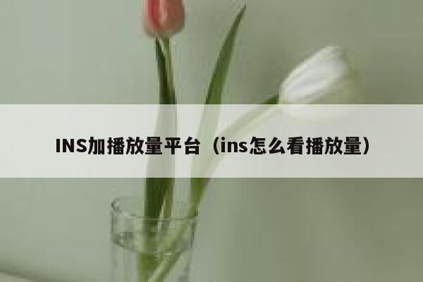 INS加播放量平台(ins怎么看播放量) 第1张 INS加播放量平台(ins怎么看播放量) 第1张