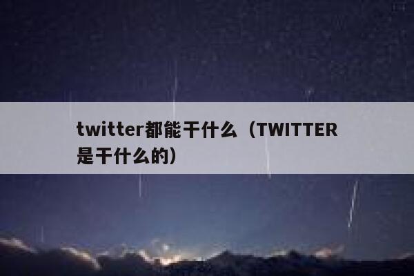 twitter都能干什么（TWITTER是干什么的） 第1张