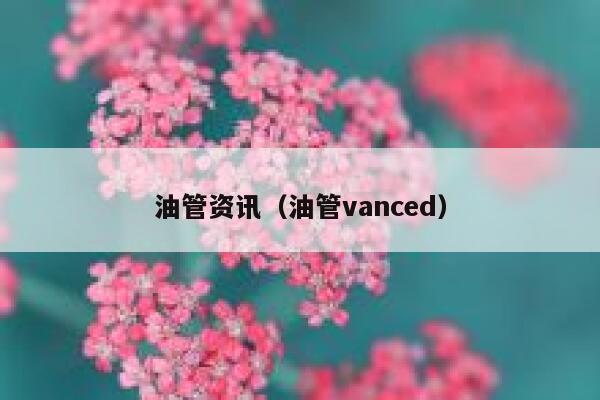 油管资讯(油管vanced) 第1张 油管资讯(油管vanced) 第1张