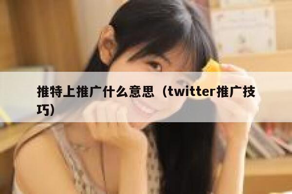 推特上推广什么意思(twitter推广技巧) 第1张 推特上推广什么意思(twitter推广技巧) 第1张