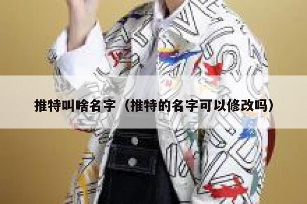 推特叫啥名字（推特的名字可以修改吗） 第1张