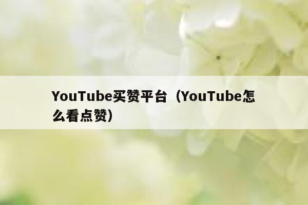 YouTube买赞平台（YouTube怎么看点赞） 第1张