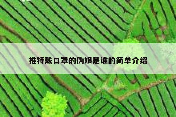 推特戴口罩的伪娘是谁的简单介绍 第1张