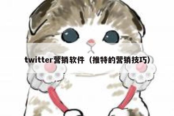 twitter营销软件（推特的营销技巧） 第1张