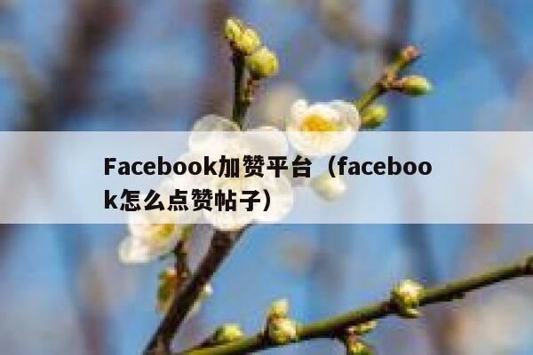 Facebook加赞平台（facebook怎么点赞帖子） 第1张