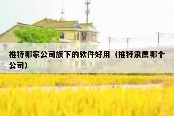 推特哪家公司旗下的软件好用（推特隶属哪个公司） 第1张