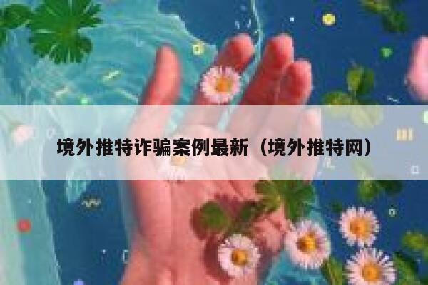 境外推特诈骗案例最新（境外推特网） 第1张