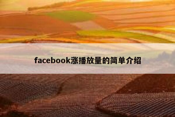 facebook涨播放量的简单介绍 第1张