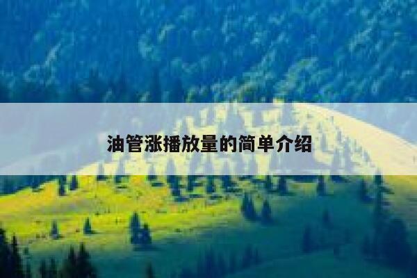 油管涨播放量的简单介绍 第1张