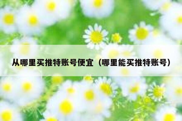 从哪里买推特账号便宜（哪里能买推特账号） 第1张