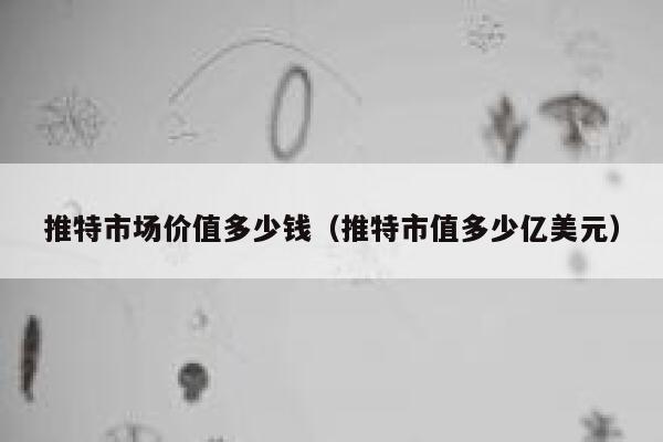 推特市场价值多少钱（推特市值多少亿美元） 第1张